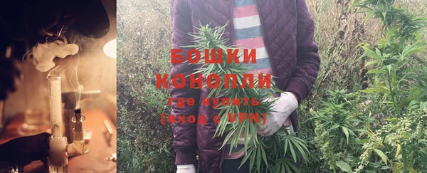 spice Арсеньев