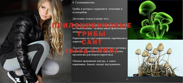 ПСИЛОЦИБИНОВЫЕ ГРИБЫ Аркадак
