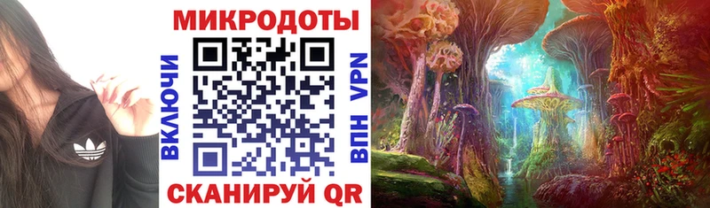 Псилоцибиновые грибы MAGIC MUSHROOMS  Купить закладки  Спасск 
